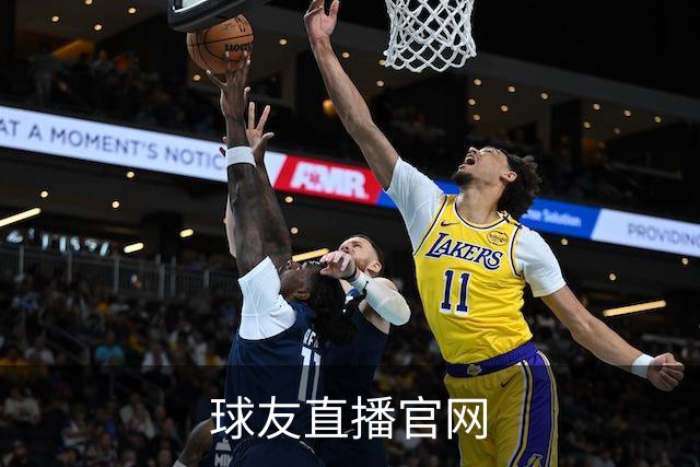球友直播官网公司简介图片